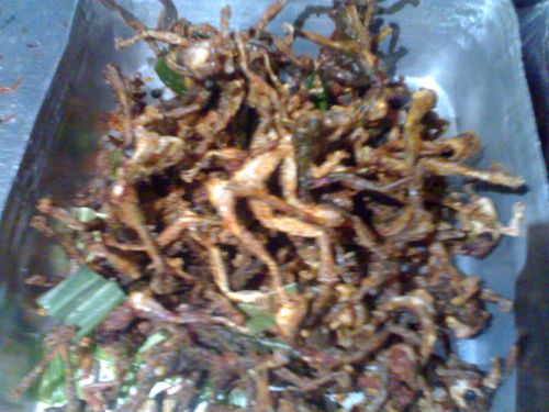 Thai Food French Fried Frogs