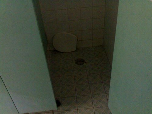 Toilet Mystery